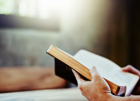THE BIBLE HAS THE ANSWER THE BIBLE HAS THE ANSWER